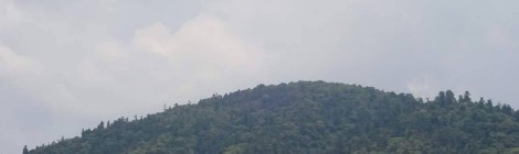 今月の三輪山（会員）