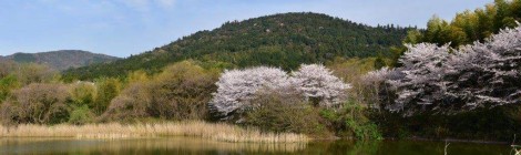 今月の三輪山（会員）