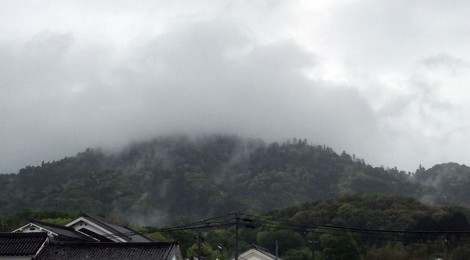 今月の三輪山（会員）
