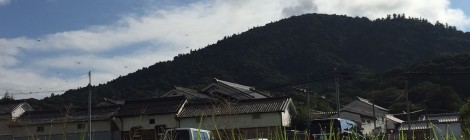 今月の三輪山