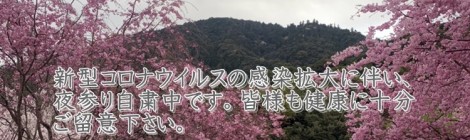 5月