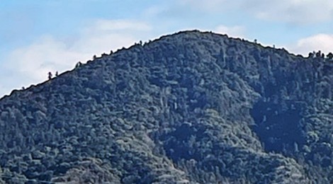 1月の三輪山