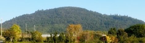 11月の三輪山