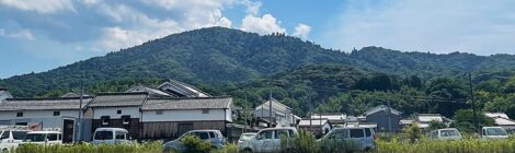6月の三輪山