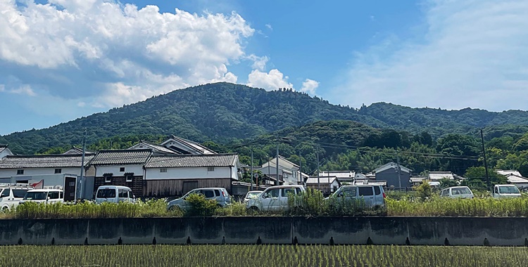 6月の三輪山