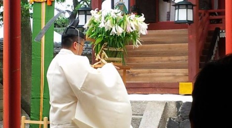 6月17日、率川神社のゆり祭り斎行