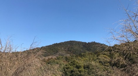 2月の三輪山