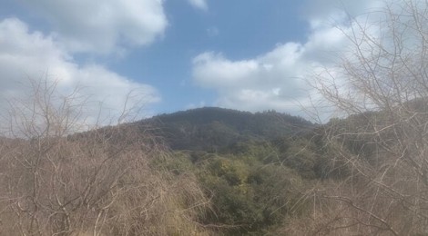 2月の三輪山